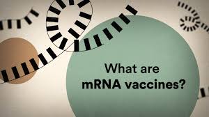 There are no specific guidelines for use of messenger rna (mrna) vaccines or contraindications to mrna vaccines. Mrna Vaccines Face Their First Test With Covid 19 How Do They Work