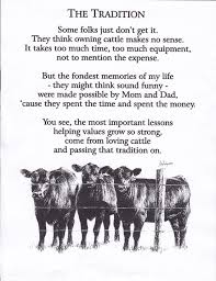 Pin On Cattle