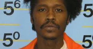 Housesitter kills burglar in St. Louis home