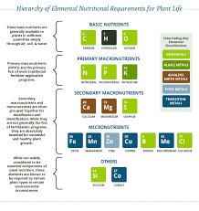 Macronutrients And Micronutrients For Plants Microfarm Organic Gardens Blog Microfarm Organic Gardens Mineral Nutrition Micronutrients Macronutrients