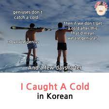 Noun · 1a native or inhabitant of north or south korea, or a person of korean descent. Got A Cold Caught A Cold In Korean Korean Jun 100 Natural Korean