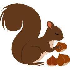 We have amphibians, reptiles, mammals, ocean animals, big animals, small animals and much more. Free Squirrel Clipart Pictures Clipartix