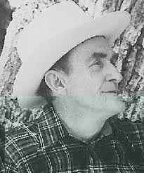 Louis Arnold Obituary