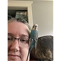 The Terrorist (Lens #3) by J.B. Cantwell