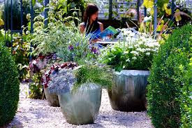 Heide, heuchera, alpenveilchen bunte blumenkästen für balkon und terrasse im herbst und winter. Gartentechnik De