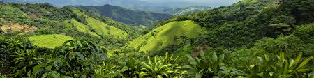 We did not find results for: San Jose Costa Rica Caribbean Westjet Official Site