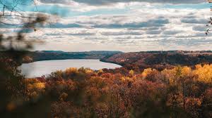 Wayfair.com has been visited by 1m+ users in the past month Wallpaper Nature Landscape Lake Trees Forest Fall Clouds Sky Minnesota Usa 1920x1080 Aniru 1928819 Hd Wallpapers Wallhere
