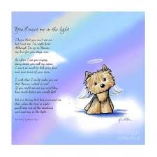 Angel Westie With Poem Art Print By Kim Niles Dog Heaven Dog Poems Dog Heaven Quotes