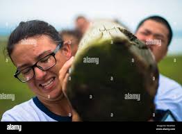 Naval academy preparatory school hi-res stock photography and images