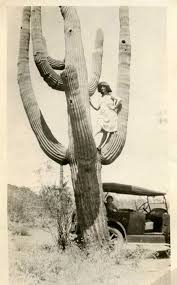 Don T Think Just Live As The Way You Are These Hilarious Found Photos That Show Peculiar Moments Of People In Thei Desert Aesthetic Vintage Cactus Old Photos