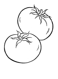 Dibujo Tomate Para Colorear