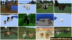 You probably at least once used concrete. Pocket Creatures Minecraft Pe Mod Addon 1 13 0 1 12 1 1 12 0 Download