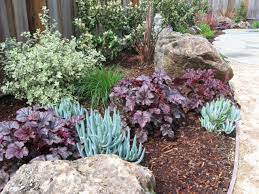 In housing context, we all know the saying is a bit true. Let S Talk Drought Tolerant Plants Drought Resistant Landscaping Drought Tolerant Landscape Front Yard Shade Plants