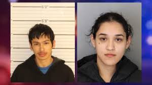 Two teens face 25 auto burglary charges each in break-ins across county
