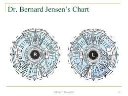 27 Memorable Iridology Chart Male