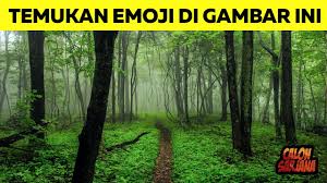 Misalnya yang dicari adalah air. Mencabar Diri Anda Dengan Teka Teki Gambar Tersembunyi 2021 Todo Web Media