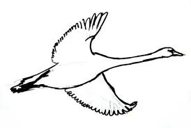 Then, below this rectangle, add an oval to make the bottom of the body rounder. How To Draw A Goose Goose Drawing Goose Tattoo Drawings
