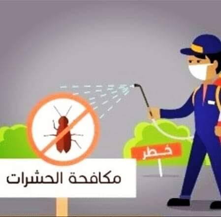وصف الصورة