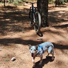 Chris Coronel (@kikisonline) • Instagram photos and videos