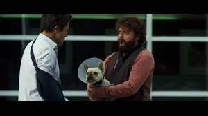 Find the best information and most relevant links on all topics related tothis domain may be for sale! Zach Galifianakis Italia Parto Col Folle Sputo A Sonny Facebook