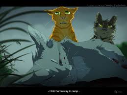 Pin On Cats You can edit any of drawings via our online image editor before downloading. pin on cats