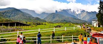 Dubbed the new zealand of sabah, the rolling green pasture with grazing cows of foothill of mt. Sabah Naturally Desa Dairy Farm Package 146784 Holdiay Packages To Kota Kinabalu Kajang