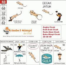 Erek Erek Cicak Di Buku Mimpi Angka Main Dan Kode Alam Simbol Mimpi