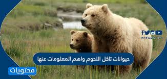 26 مارس 2016 , 12:44. Ø­ÙŠÙˆØ§Ù†Ø§Øª ØªØ§ÙƒÙ„ Ø§Ù„Ù„Ø­ÙˆÙ… ÙˆØ§Ù‡Ù… Ø§Ù„Ù…Ø¹Ù„ÙˆÙ…Ø§Øª Ø¹Ù†Ù‡Ø§ Ù…ÙˆÙ‚Ø¹ Ù…Ø­ØªÙˆÙŠØ§Øª