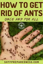 If you have dirty dishes in the sink, rinse thoroughly to remove all debris. Pin On Cell Phone Hacks