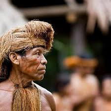 2026 3-Day Amazon Survival Program from Iquitos