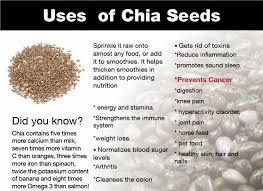 Dalam beberapa tahun terakhir, reputasi bahan makanan ini menanjak karena manfaat chia seed untuk diet. Biji Selasih In Chinese