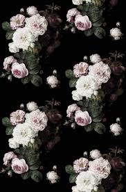 Pink and black flowers wallpaper. Black And Pink Flower Wallpapers Top Free Black And Pink Flower Backgrounds Wallpaperaccess