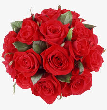 Say happy birthday to someone special. Happy Birthday Roses Flower Wishes Free Transparent Png Download Pngkey