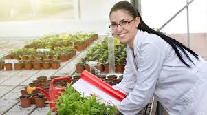 Perks of studying BSc in Agriculture | Education News,The Indian Express