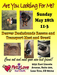 Getting around and finding places like the zoo is quite easy to navigate. Merchandise Page 2 Denver Dachshund Rescue Transport