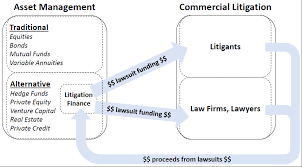 The Securities Law Disclosure Conundrum for Publicly TradedLitigation  Finance Companies