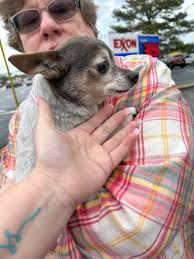 Welcome to the family little Winston