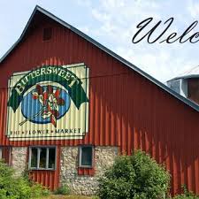 3,059 likes · 4 talking about this · 267 were here. Bittersweet Flower Market Florists N3075 State Road 16 La Crosse Wi Phone Number Yelp