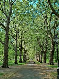 st james london 15 fascinating things to do london park travel aesthetic green travel