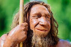 Key Facts about Neanderthals