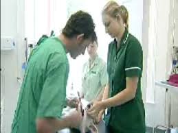 Apprenticeships In Veterinary Nursing Apprenticeship Veterinary Veterinary Assistant