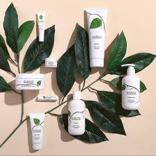 Pin On Arbonne