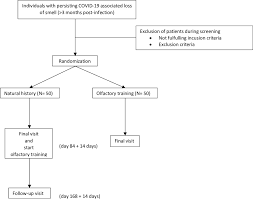 Image result for Olfactory Training