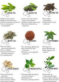Medicinal Plants Herbs Medicinal Tea Silverwitch Herbs Medicinal Tea Magic Herbs