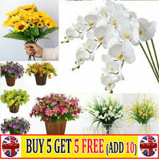 We did not find results for: Dried Artificial Orchid Branches Twigs Stems For Sale Ebay