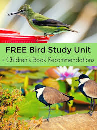 Bird Books For Kids Books About Birds For Kids And Young Bird Lovers With Images Birds For Kids Bird Unit Study Educational Activities For Kids