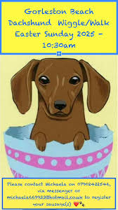 Mr Blue (AKA Boo Boo) has made so many friends at Gorleston Beach that he  thought it would be fun to all get together this Easter and go for a wiggle  along