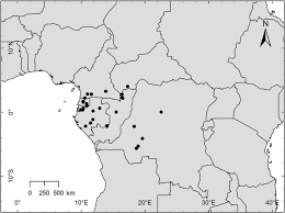 Image result for Polysphaeria subnudifaux