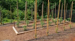 Compare prices & read reviews. How To Build Strong Tomato Stakes