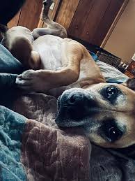 Instagram photo by Joanna Tom • Nov 11, 2024 at 4:14 AM